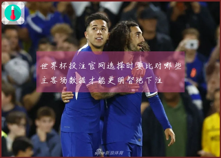 世界杯投注官网选择时要比对哪些主客场数据才能更明智地下注