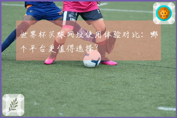 世界杯买球网址使用体验对比：哪个平台更值得选择？