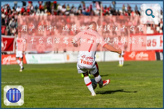 用户测评：选择世界杯投注平台官方平台前你需要知道的使用体验和功能介绍
