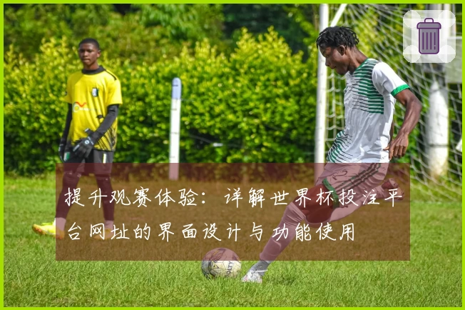 提升观赛体验：详解世界杯投注平台网址的界面设计与功能使用