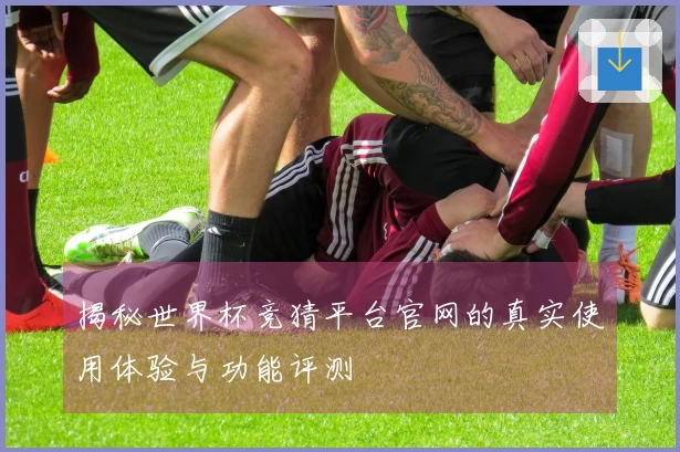 揭秘世界杯竞猜平台官网的真实使用体验与功能评测