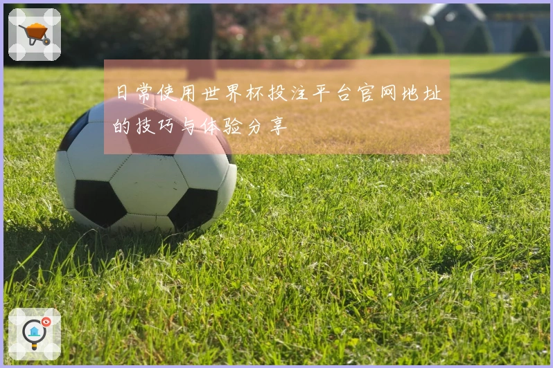 日常使用世界杯投注平台官网地址的技巧与体验分享