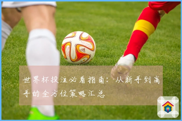 世界杯投注必看指南：从新手到高手的全方位策略汇总