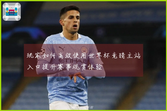 玩家如何高效使用世界杯竞猜主站入口提升赛事观赏体验