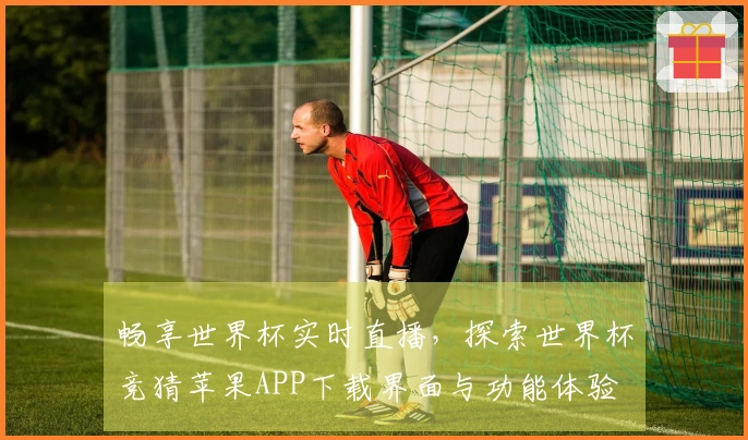 畅享世界杯实时直播，探索世界杯竞猜苹果APP下载界面与功能体验