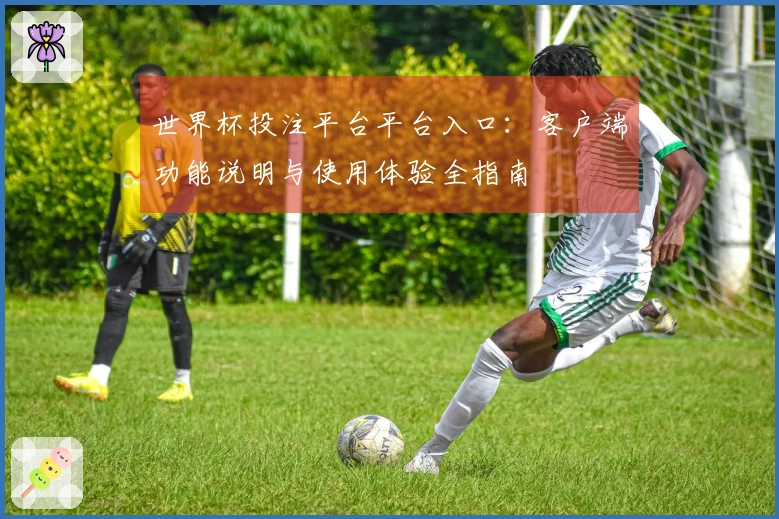 世界杯投注平台平台入口：客户端功能说明与使用体验全指南
