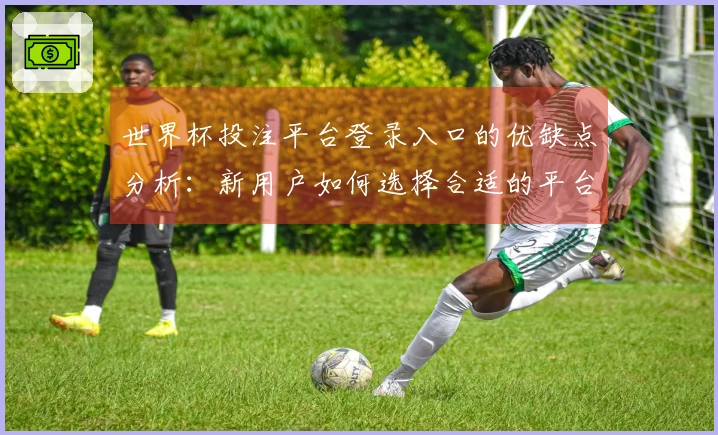 世界杯投注平台登录入口的优缺点分析：新用户如何选择合适的平台体验