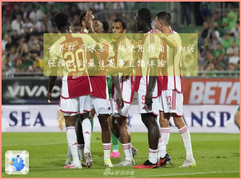 世界杯买球客户端使用指南：如何轻松找到最佳赛事直播体验