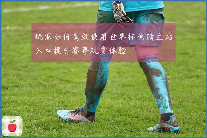 玩家如何高效使用世界杯竞猜主站入口提升赛事观赏体验