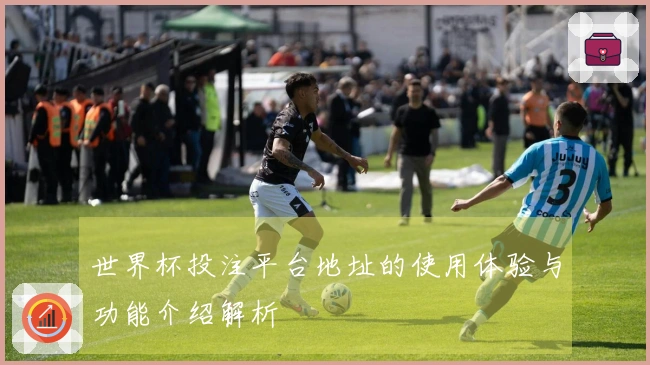 世界杯投注平台地址的使用体验与功能介绍解析